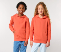 Kids Mini Cruiser 2.0 iconic hoodie sweatshirt (STSK180) Kids Mini Cruiser 2.0 iconic hoodie sweatshirt (STSK180)